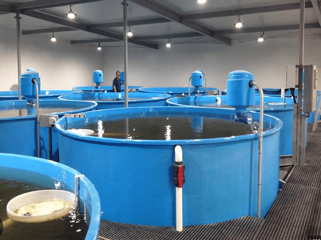 High-density aquaculture farm with oxygen generator